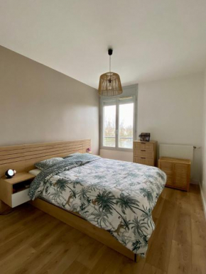 Appartement T2 au bord du lac